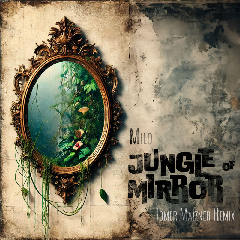 Jungle Of Mirror (Tomer Maizner Remix)